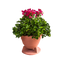 Omniplanter TC 8.0" Speaker Coax On-Ground Planter Round