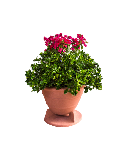 Omniplanter TC 8.0" Speaker Coax On-Ground Planter Round