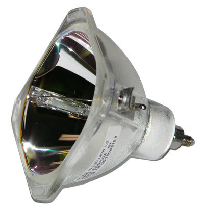 Philips RP-E19.8 Bare Lamp/Bulb for Sony XL-2400, F-9308-750-0, XL-2500, F-9308-900-0