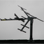 DigiTenna DT-F Outdoor HDTV antenna, fringe, 45+ mile range