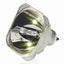 Neolux DLP Lamp RP-E19.8