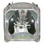 DLP TV Lamp/Bulb only for JVC TS-CL110UAA, P020 Lamp, Philips UHP Ultra Bright Lamp