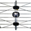 Sky Blue Antenna SB42