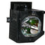 Philips UX21516 Complete Assembly DLP Lamp/Bulb/Housing for Hitachi With Philips UHP Ultra Bright Lamp